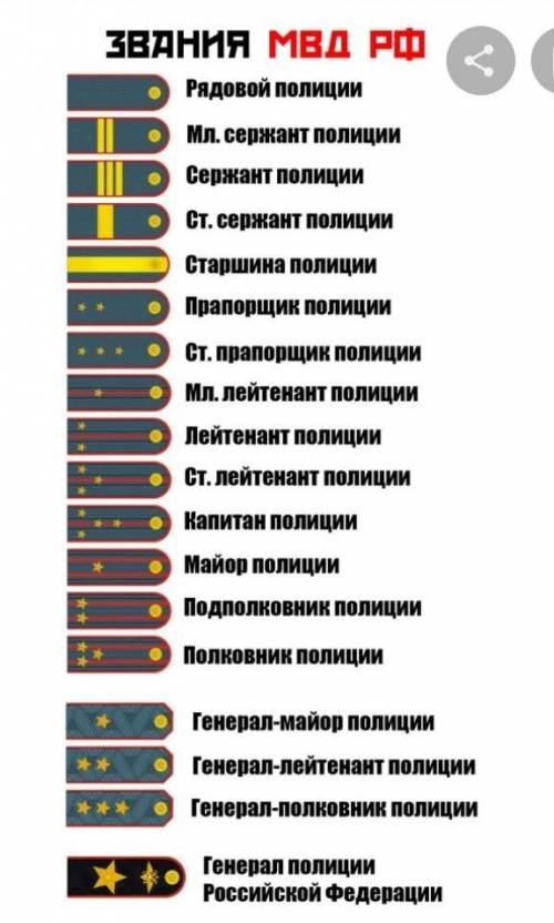 Сколько зарабатывает каждый 