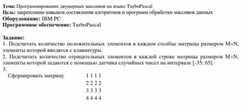 кто понимает информатику 