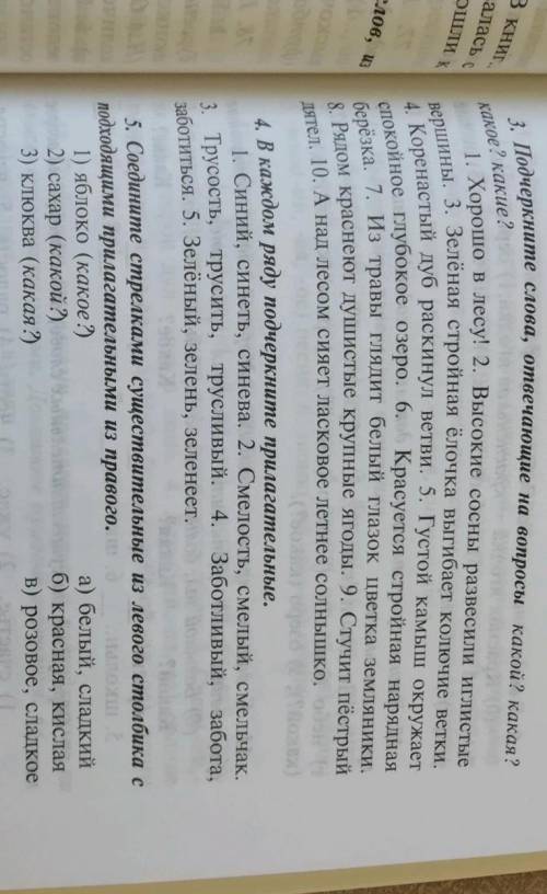 сделать эти упражнение не могу