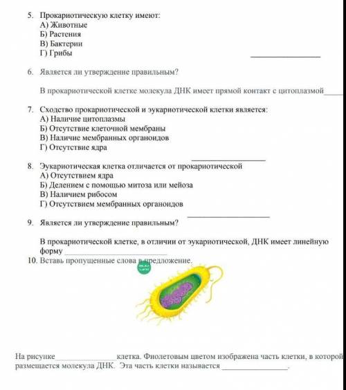 это биология я не понимаю