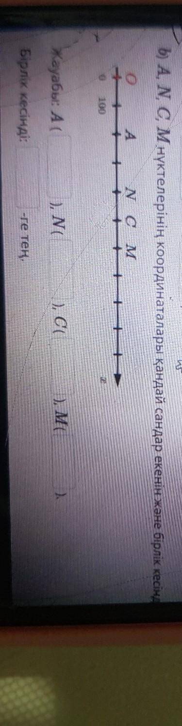 Каковы координаты точек A, N, C, M и какая единица измерения??? 