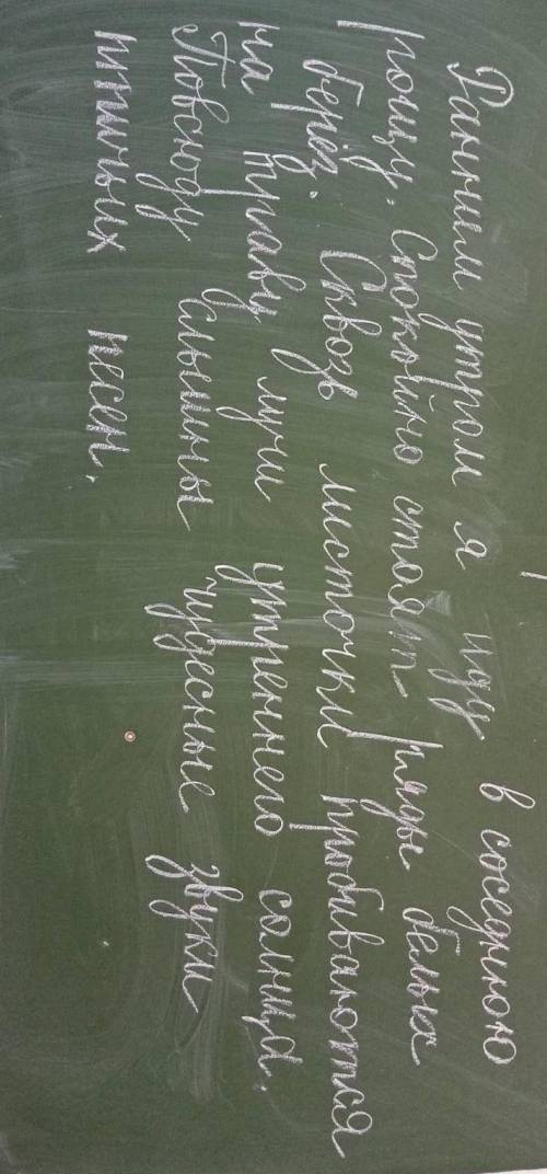 Второстепенные и главные члены предложения. ​