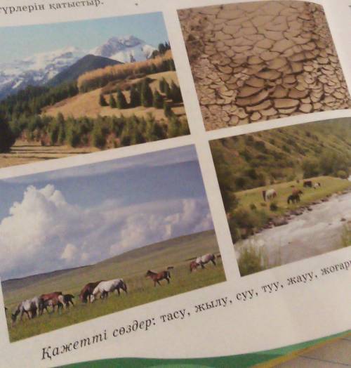 Суретке солем курау, шылаулардын турлерын косу