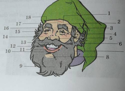 C. Read the descriptions again and name the face parts.