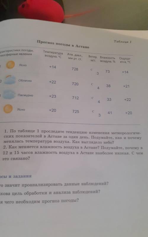 ОТВЕТИТЕ НА 2 ВОПРОСА ПО ТАБЛИЦЕ ​