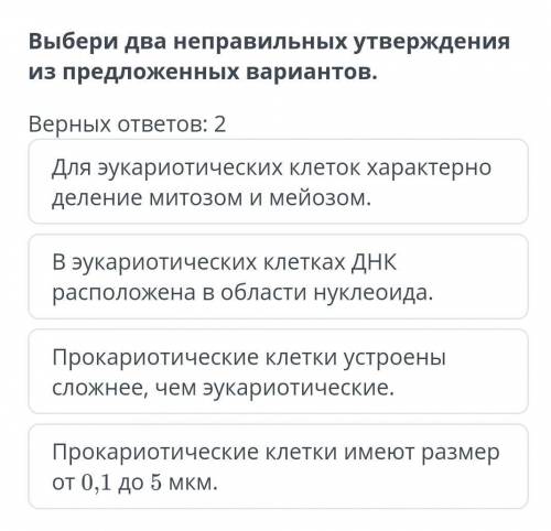 тема: строение клеток прокариот и эукариот