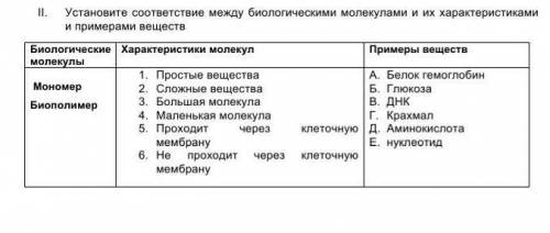 Установите соответствие между биологическими молекулами и их характеристиками и примерами веществ.
