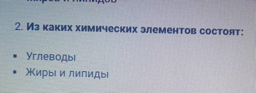 2. Из каких химических элементов состоят:• УглеводыЖиры и липиды