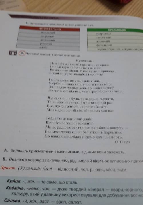 Випишіть прикметники з іменниками, від яких вони залежать.