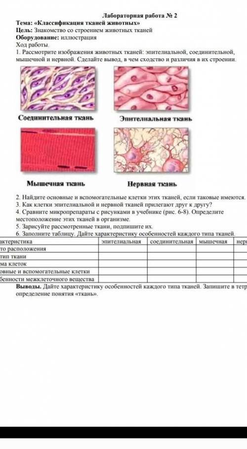 с лобораторкай, буду блогадарна 