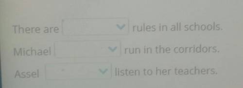 There are rules in all schools.Michaelrun in the corridors.Asselisten to her teachers,