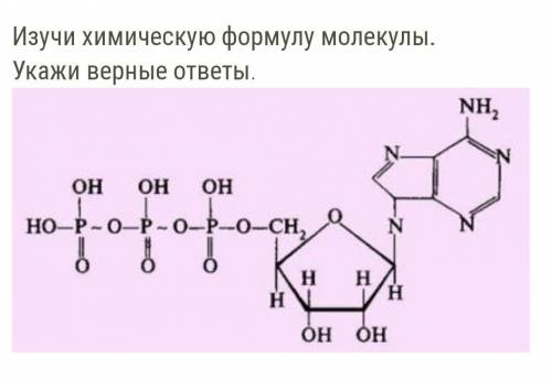 очень На рисунке показана химическая формула молекулы нуклеотида рибонуклеиновой кислотынуклеотида д