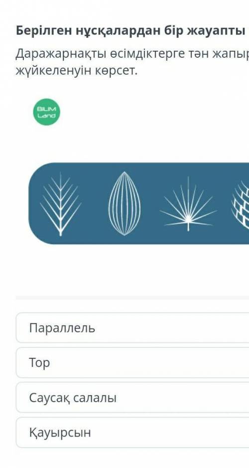 Даражарнақты өсімдіктерге тән жапырақ жүйкеленуін көрсет