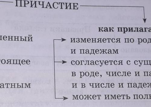 Используя опорную схему перечислите признаки глагола и прилагательного у причастия 