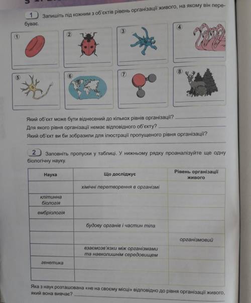 ІВ!До ть будь ласка!У 1 завданні малюнки не виконувати,а записати номери.