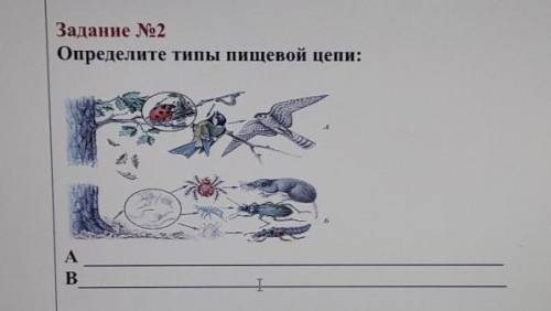 Задание №2Определите типы пищевой цепи:ab|