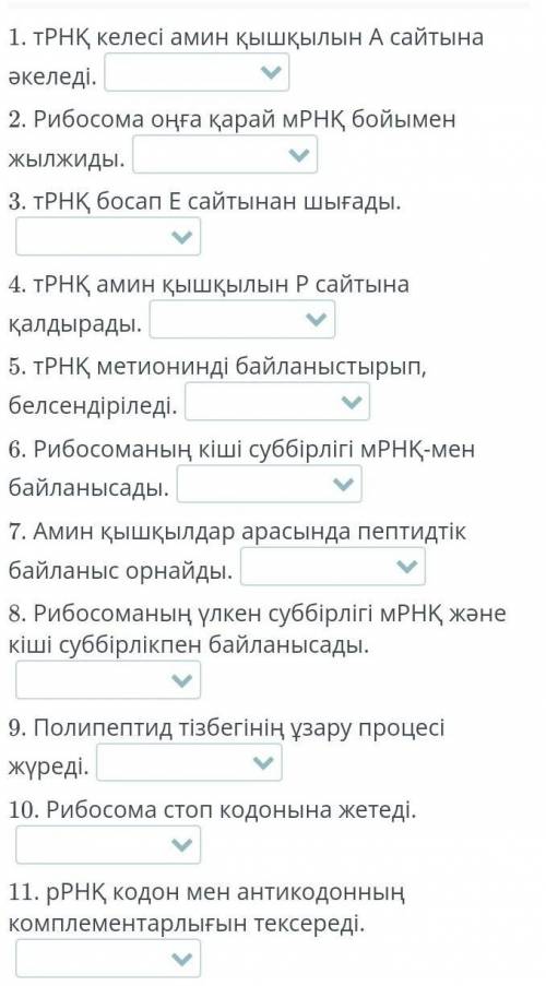 Сызбада трансляция кезеңдері көрсетілген. Әр процестердің кезеңдерін тап.