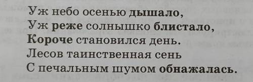 Напишите мини-сочинение опираясь на текст. 30-50 слов. 