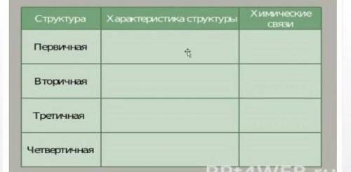 8 класс тема белки их свойства и функции