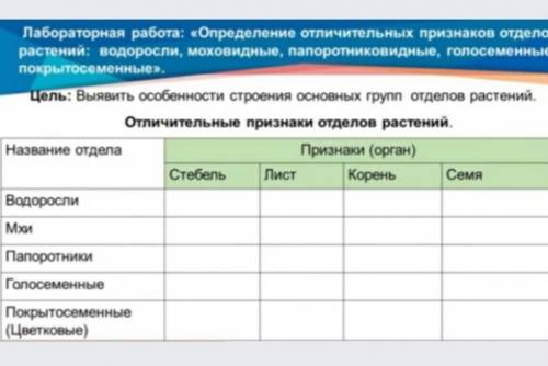 Выявить особенности строения основых групп отделов растений 