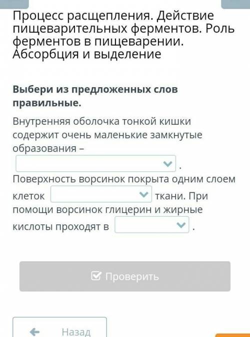 Внутренняя оболочка тонкой кишки содержит очень маленькие замкнутые образования