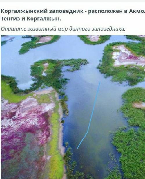 Там написано типа про акмалинской области БОЖЕ ЛЮДИ Я БУДУ БОМЖОМ 