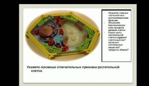 сделайте всё ответьте на вопросы. по биологии
