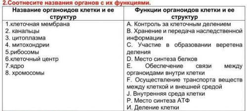 Соотнесите названия с функциями и их органы