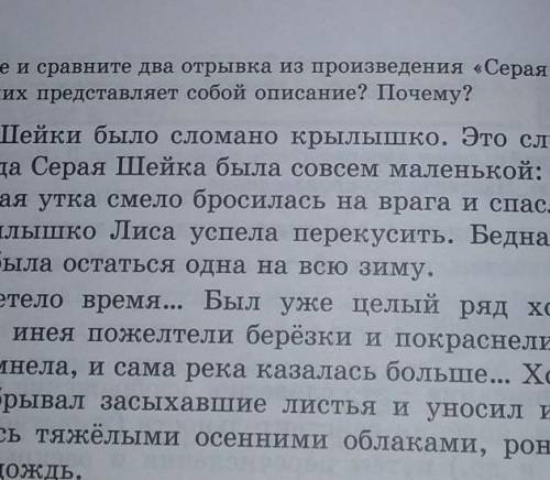 Прочитайте и сравните два отрывка из произведения Серая Шейка