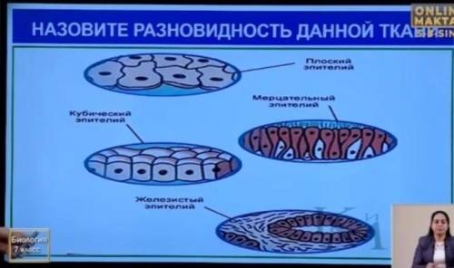 Назовите разновидность данной ткани если не правильно то бан