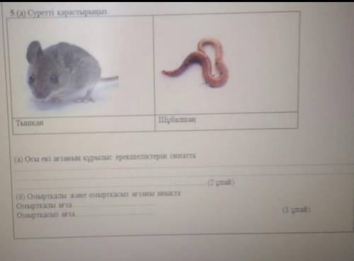 за ответ нет ответа забираю свой бал