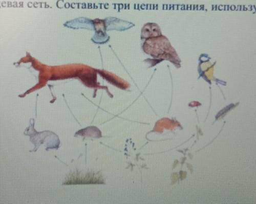 Ниже дана пищевая сеть. Составьте три цепи питания, используя приведенных животны