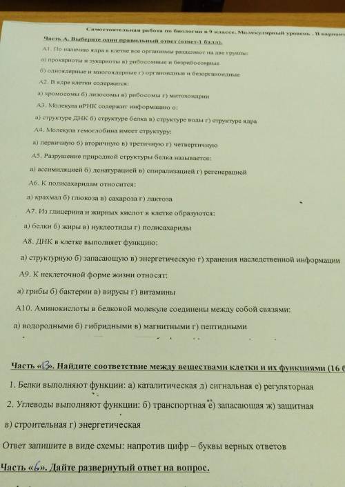 Самостоятельная работа по биологии 9класс. Молекулярный уровень