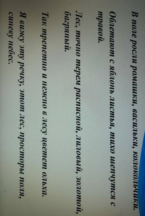Найдите и подчеркните однородные члены предложения