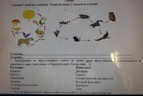с первыми заданием, очень 