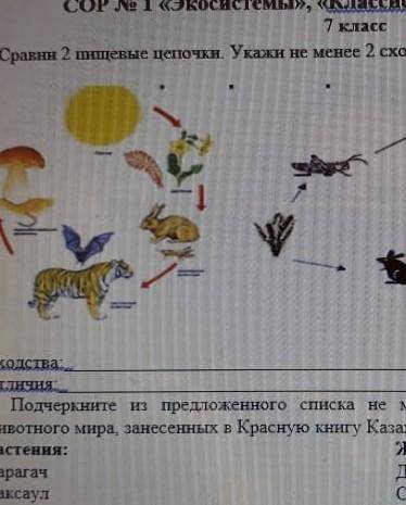 Сравни две цепочки. укажи не менее 2 сходства биология 7 клас