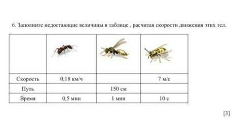Заполните недастоющие велечины в таблице ,расчитая скорости движения этих тел