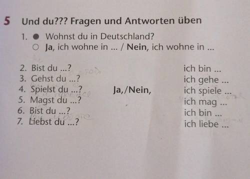 Und du? Fragen und Antworten üben 