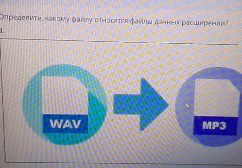 ТЕКСТ ЗАДАНИЯОпределите, какому файлу относятся файлы данных расширении?WAVMP3