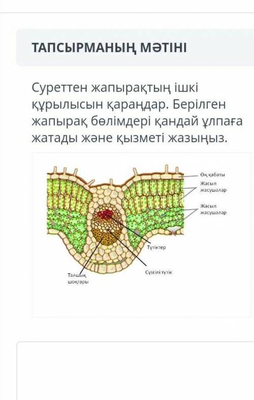 Биология өтініш өтініш өтініш