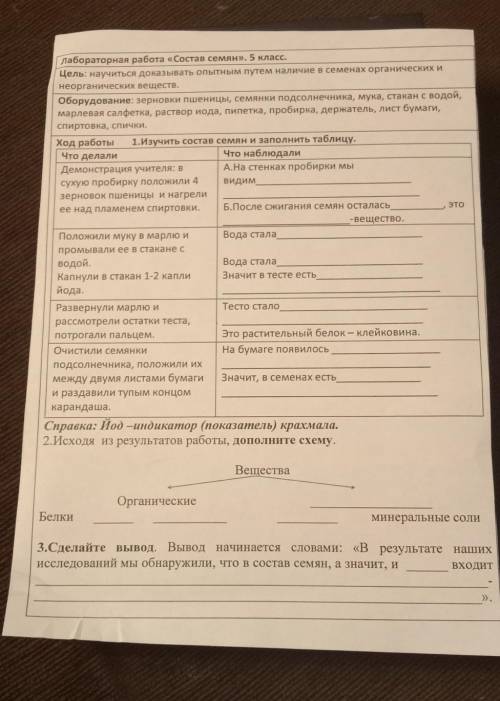 лабораторная работа «состав семян»