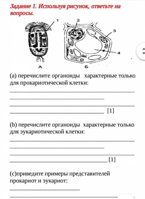 Задание 1. Используя рисунок, ответьте на вопросы. (а) перечислите органоиды характерные только дл