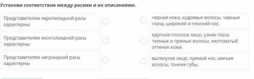 Установи соответствие между расами и их описаниями.