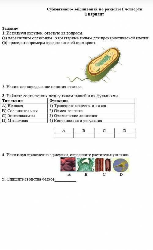 сор по биологии хоть какое-то задание