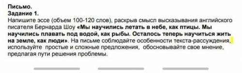 Напишите эссе 100-120 слов 