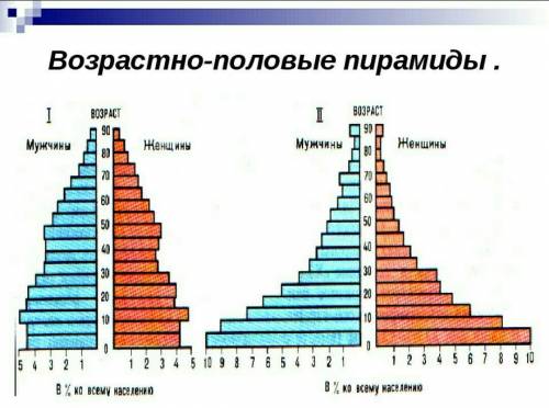 Дайте характеристику половозрастной пирамиды (обе пирамиды)