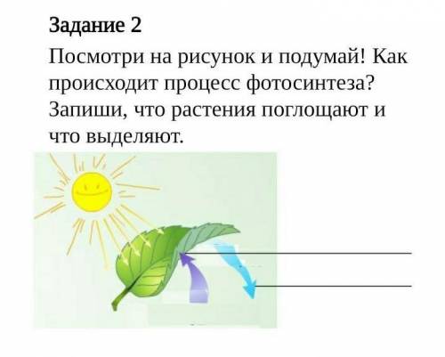 Как происходит процесс фотосинтеза нужно описать это В письменном виде