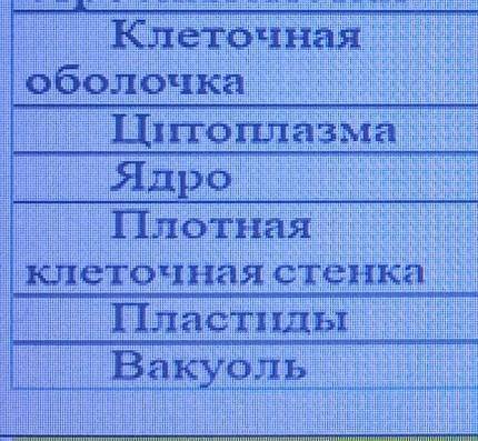 Заполните таблицу отметьте знаком + присутствие части клетки у растений и животных.