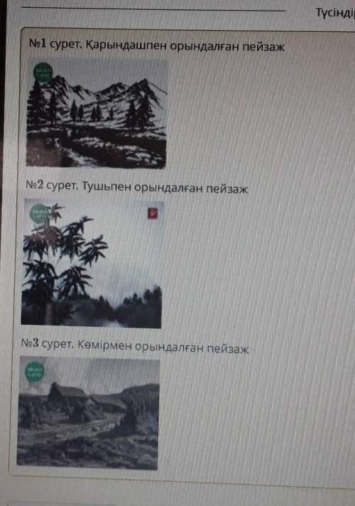 Онердин турлери: пейзажсэйкендестир