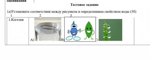 Установите соответствия между рисунком и определенным свойством воды